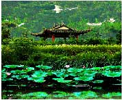 蔡甸后天天气
