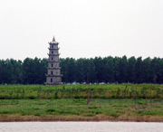沅江今天天气